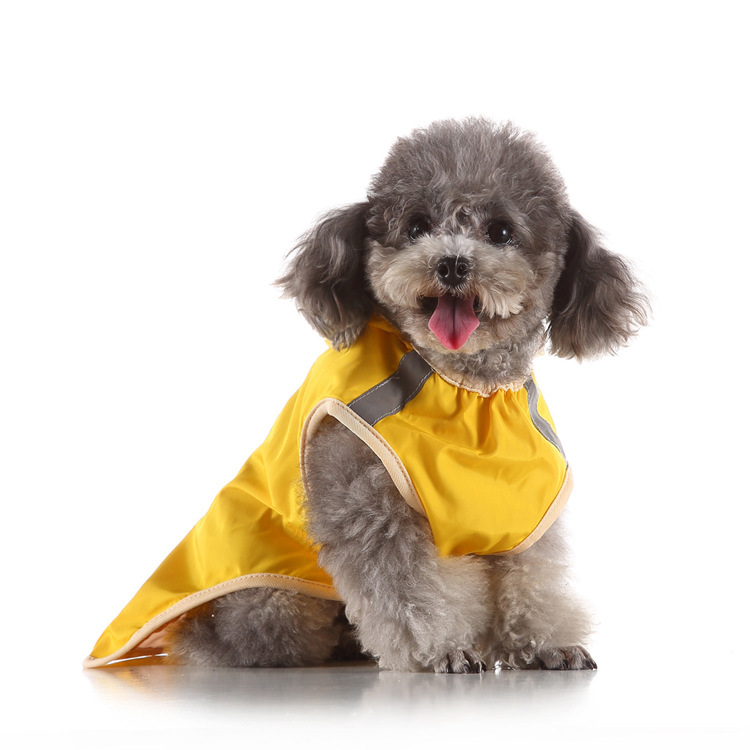 A grey dog wearing the yellow Reflective-detail raincoat from the LIWAVE collection