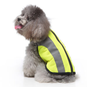 The reflective-detail walking layer — LIWAVE pet collection