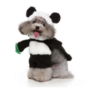 The playful panda costume — LIWAVE pet collection
