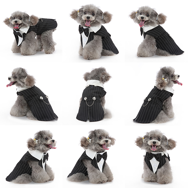 The celebration tuxedo — product detail 12