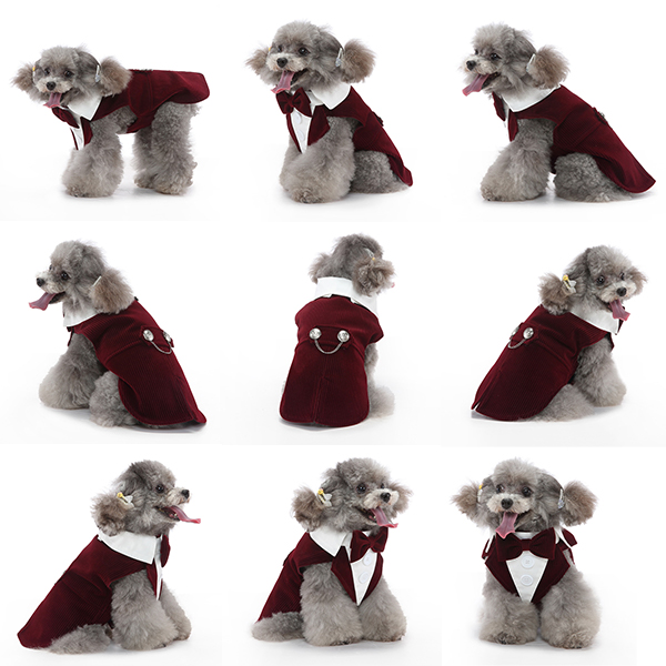 The celebration tuxedo — product detail 15