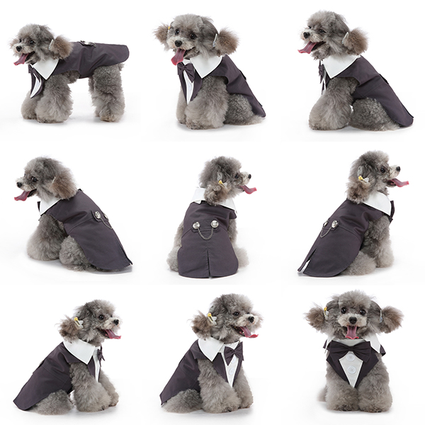The celebration tuxedo — product detail 11