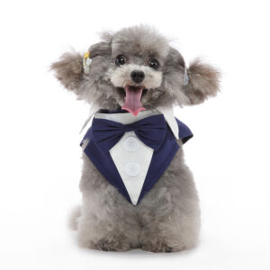 The celebration tuxedo — LIWAVE pet collection