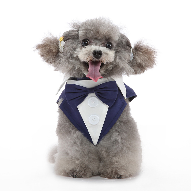 The celebration tuxedo — LIWAVE pet collection