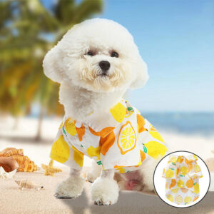 Fruit-print summer shirt — LIWAVE pet collection
