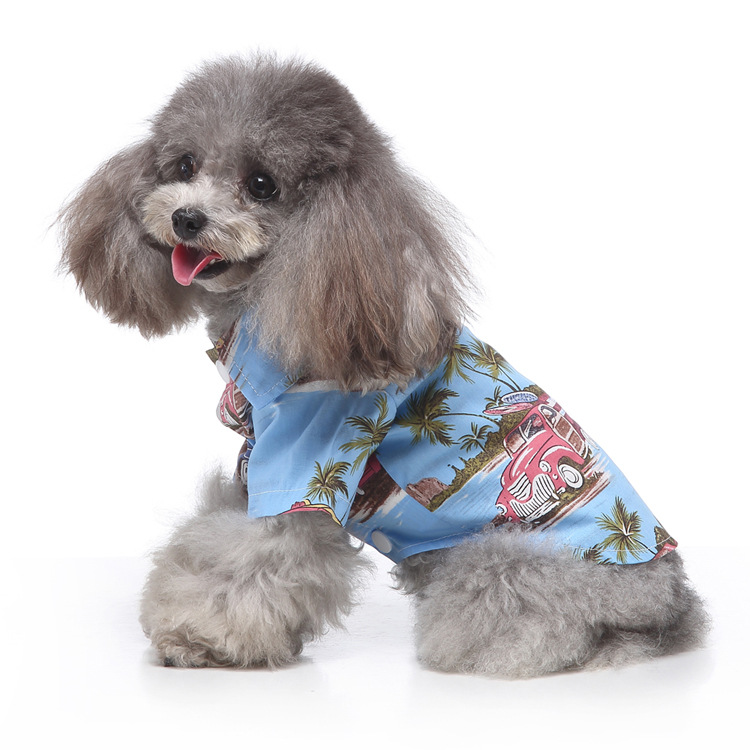 Island-print summer shirt — LIWAVE pet collection