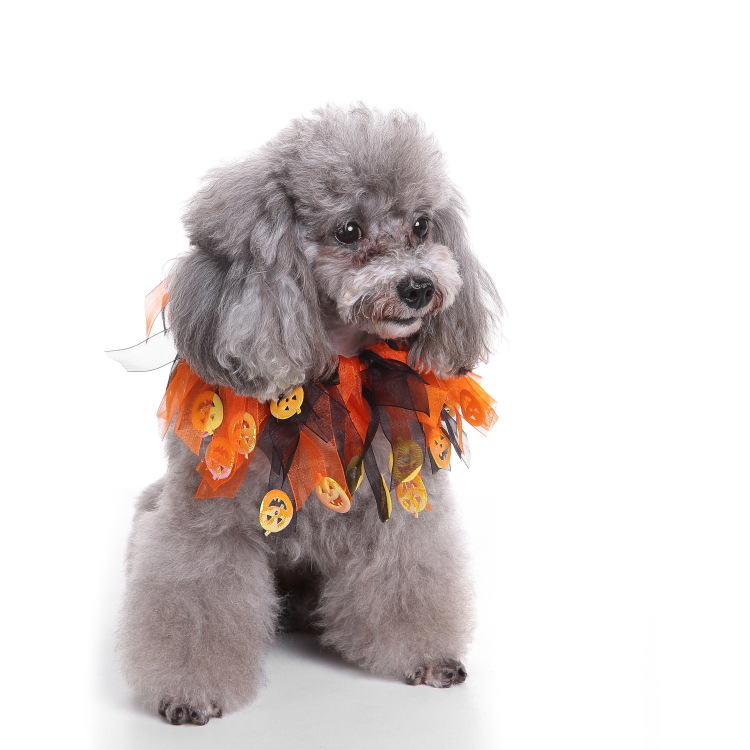 The celebration ribbon collar - Image 4