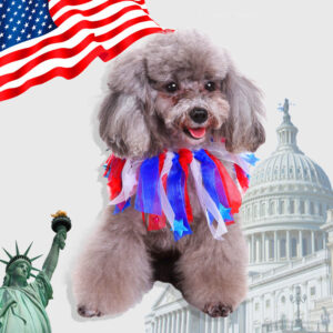 The celebration ribbon collar — LIWAVE pet collection